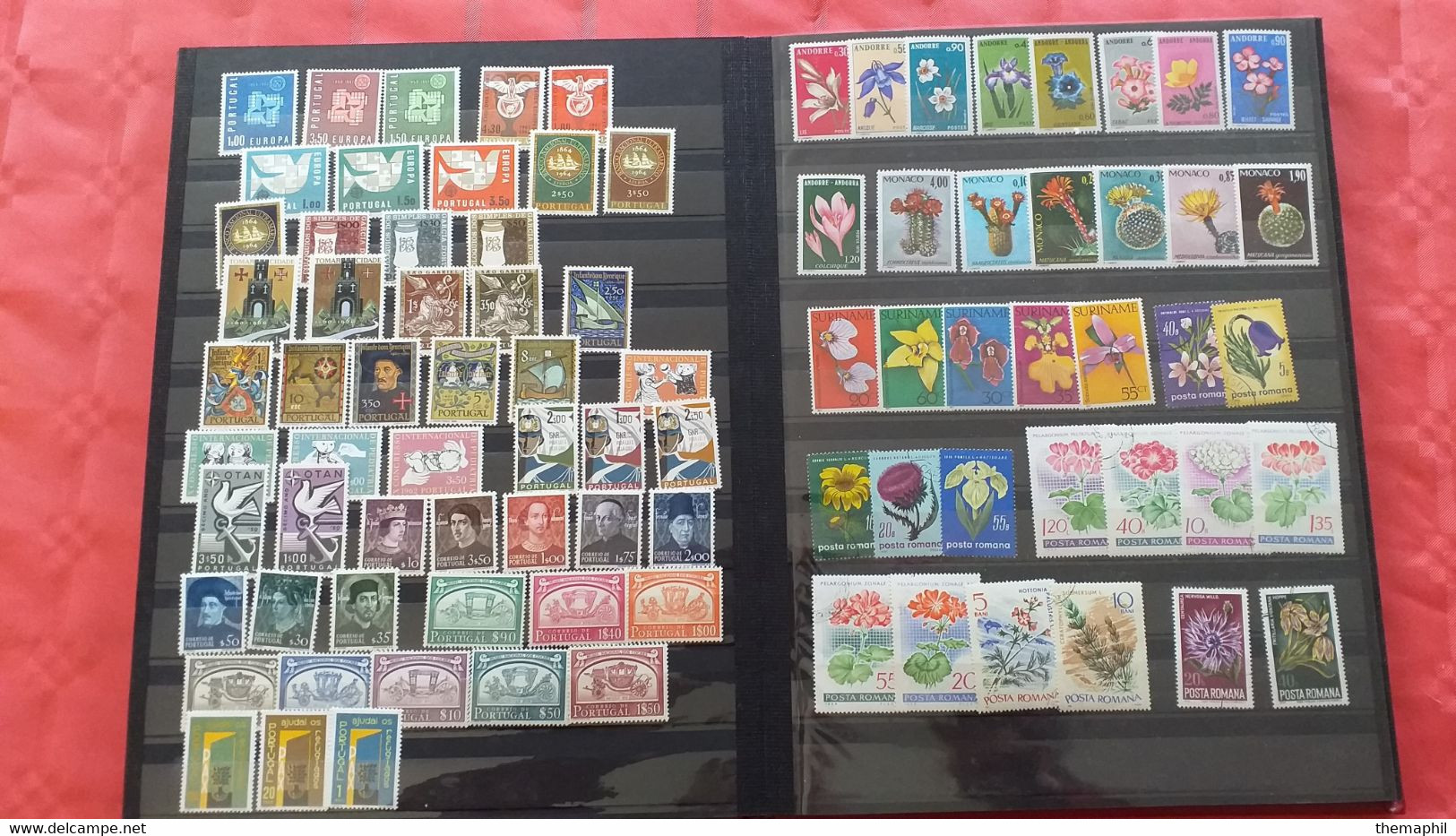 lot n° TH 491 EUROPE et divers pays timbres neufs xx un lot de 2 classeurs