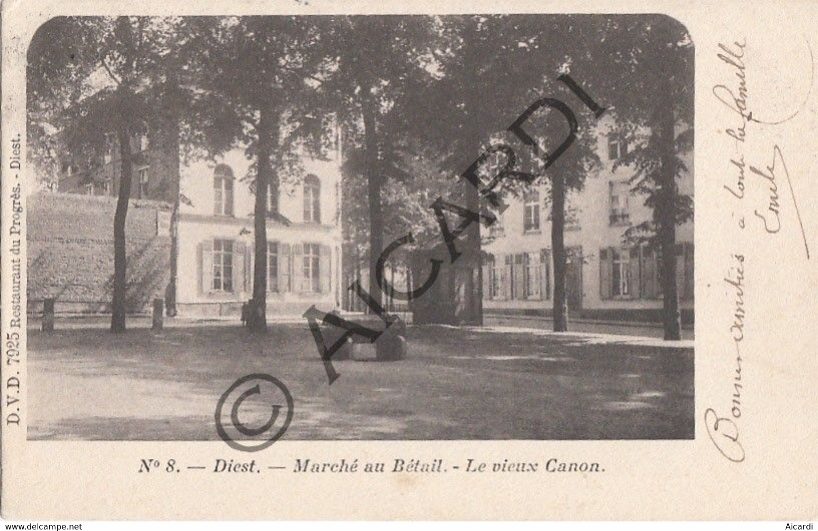 Carte Postale/Postkaart - DIEST - Marché Au Bétail - Le Vieux Canon - 1904 (A290) - Diest