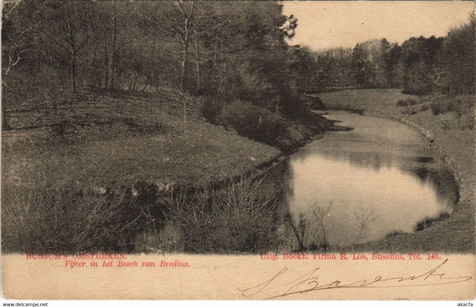 CPA AK BUSSUM's Omstreken Vijver In Het Bosch Van Bredius NETHERLANDS (713731) - Bussum