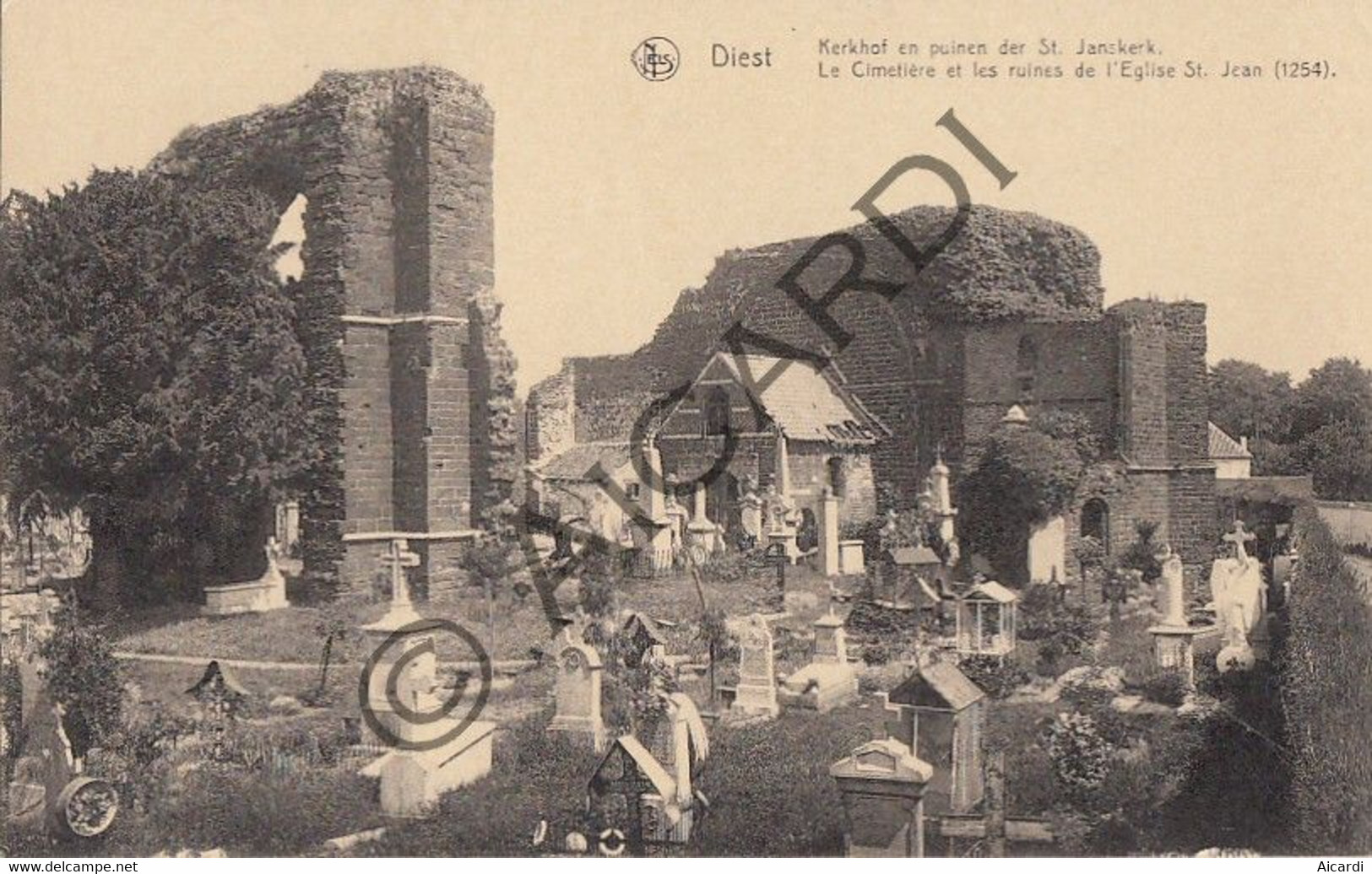 Carte Postale/Postkaart - DIEST - Kerkhof En Puinen Der St Janskerk  (A293) - Diest