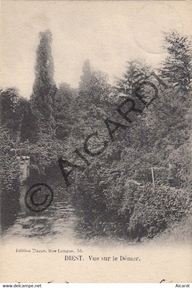 Carte Postale/Postkaart - DIEST - Vue Sur Le Démer - 1903 (A294) - Diest