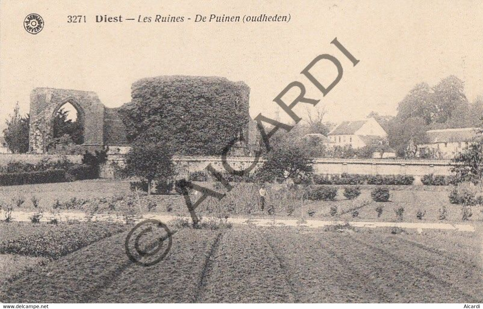 Carte Postale/Postkaart - DIEST - Les Ruines - De Puinen  (A271) - Diest