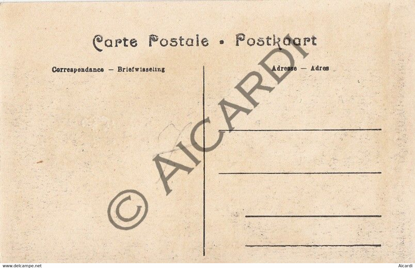 Carte Postale/Postkaart - DIEST - Les Ruines - De Puinen  (A271) - Diest