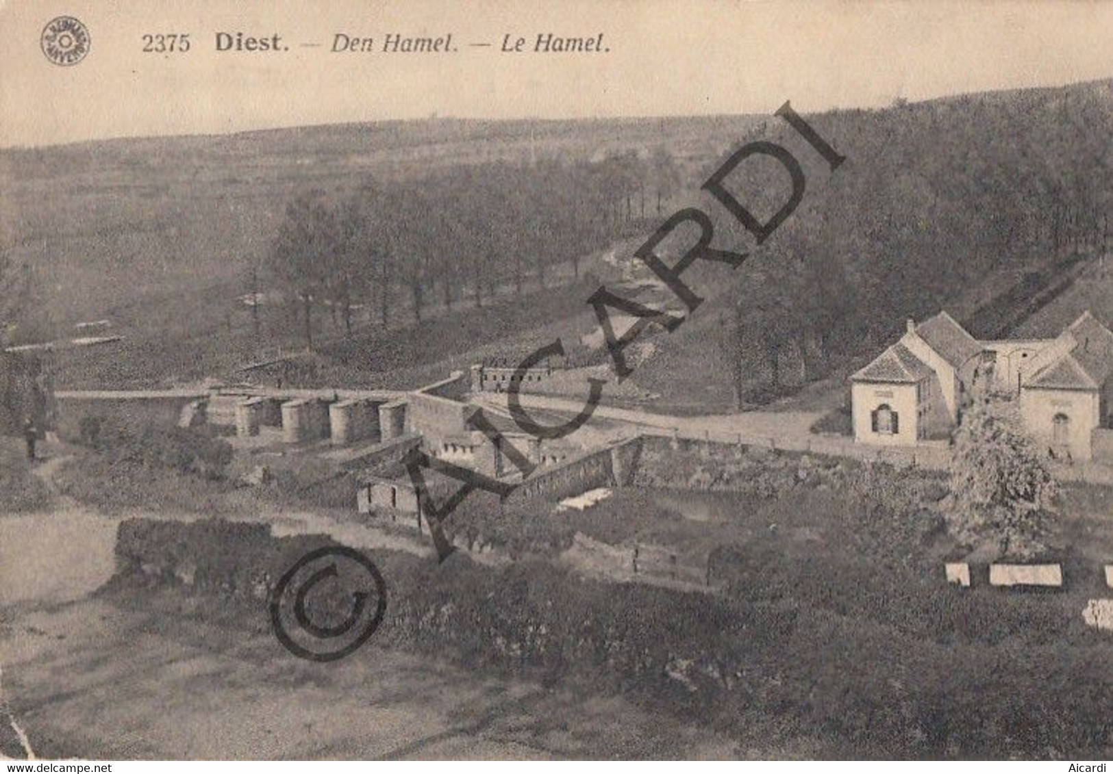Carte Postale/Postkaart - DIEST - Den Hamel   (A286) - Diest