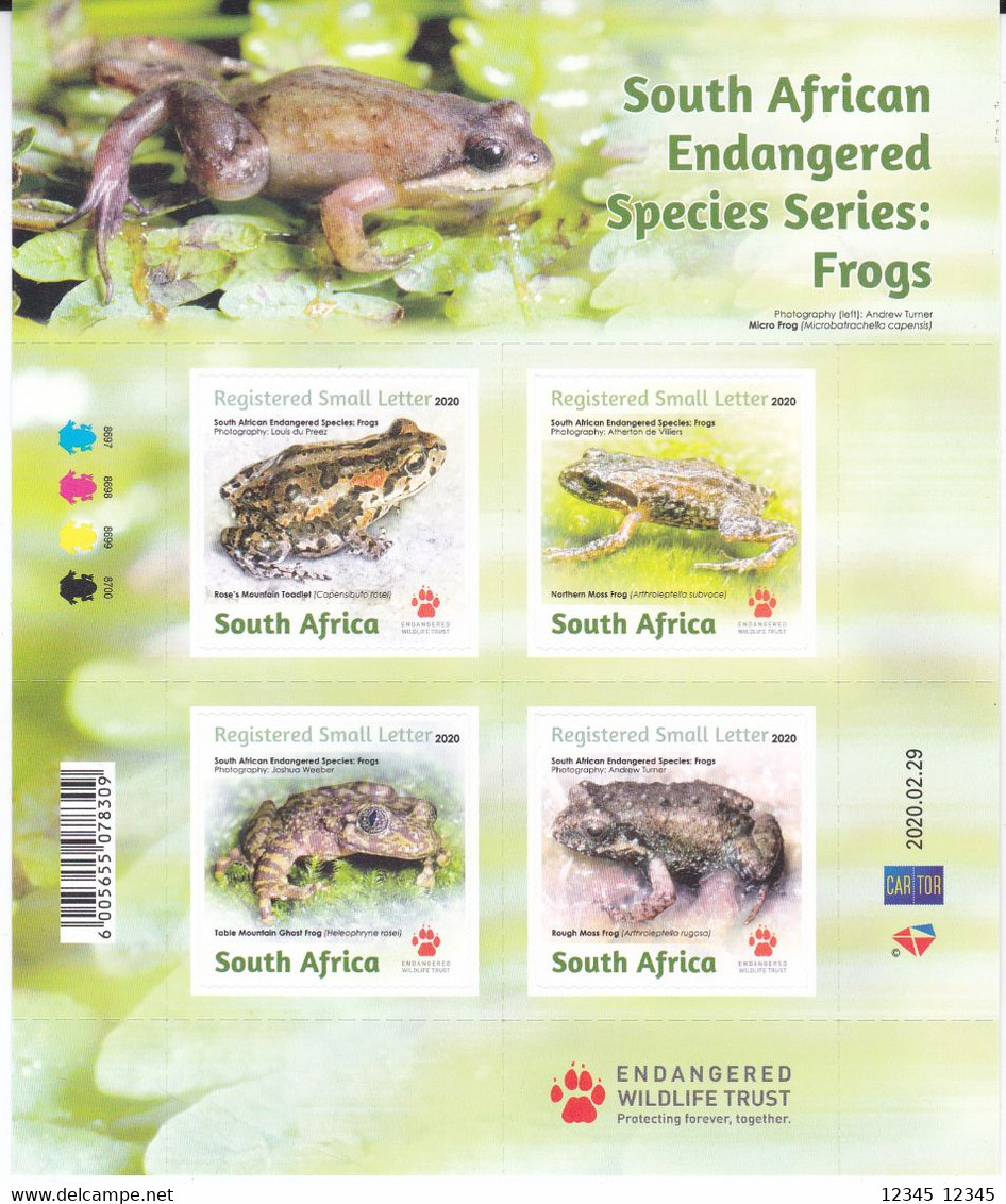 Zuid Afrika 2020, Postfris MNH, South African Endangered Frogs - Nuevos