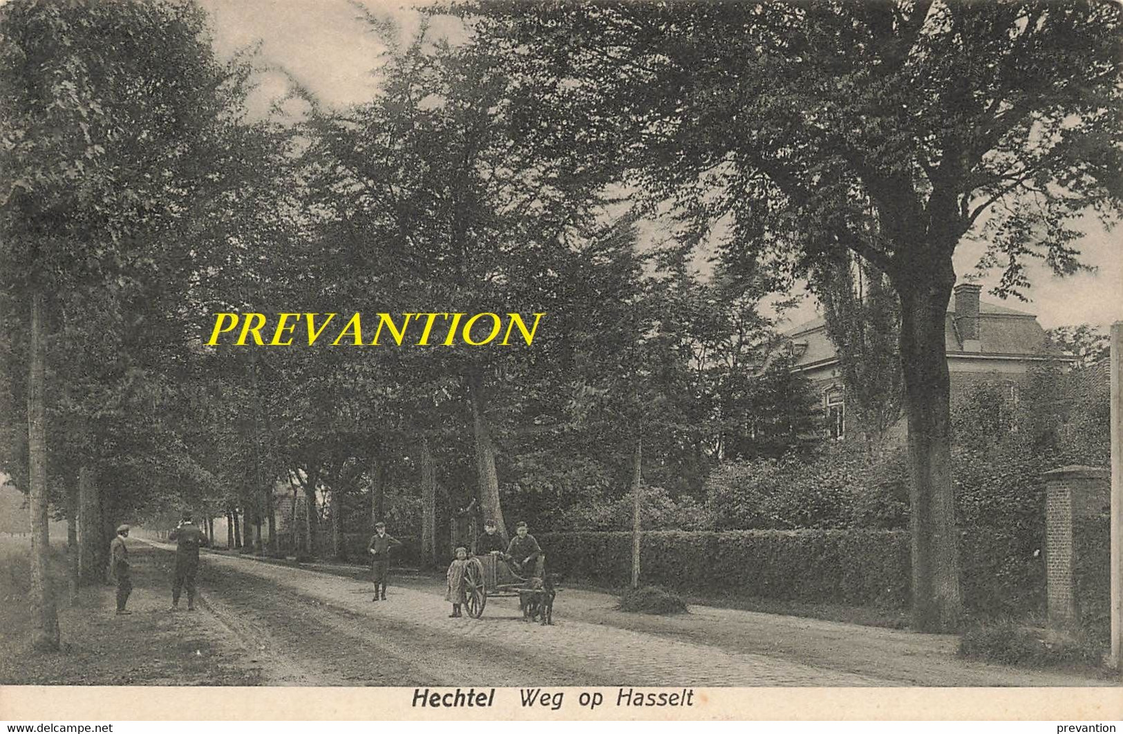 HECHTEL - Weg Op Hasselt - Carte Circulé En 1911 - Hechtel-Eksel