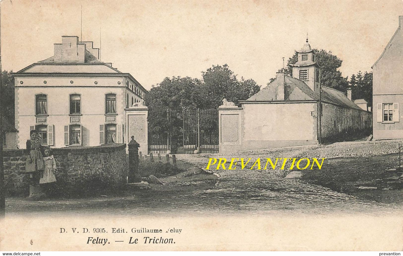 FELUY - Le Trichon (D.V.D 9305 - Edit: Guillaume Feluy) - Seneffe