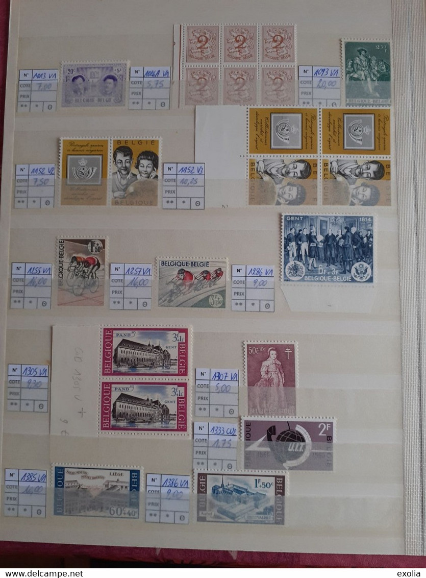 Lot 74 Variétés COB Luppi Varibel Différentes Neuves De Belgique, Valeur Catalogue COB 1300 Euros. Lire Description SVP - Other & Unclassified