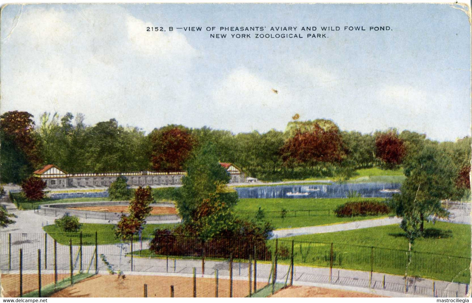 USA  NEW YORK  Zoological Park  View Of Pheasants' Aviary And Wild Fowl Pond - Parchi & Giardini