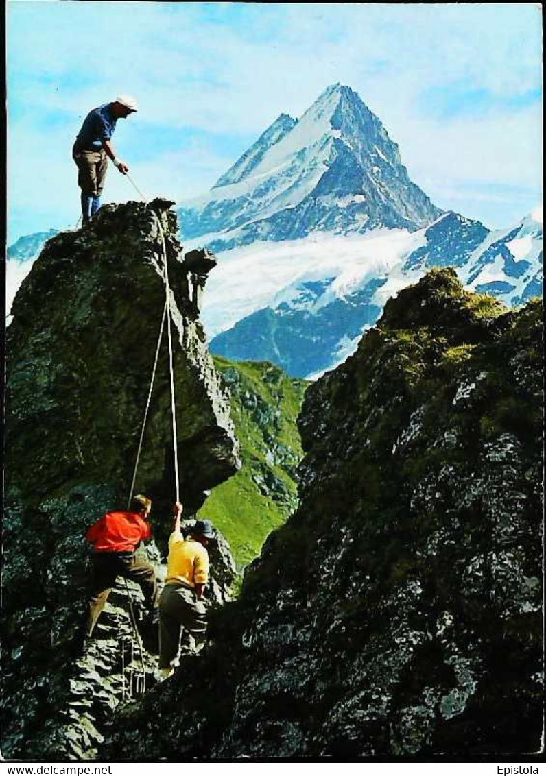 ► CPSM  Escalade En Suisse - Bergsteigen