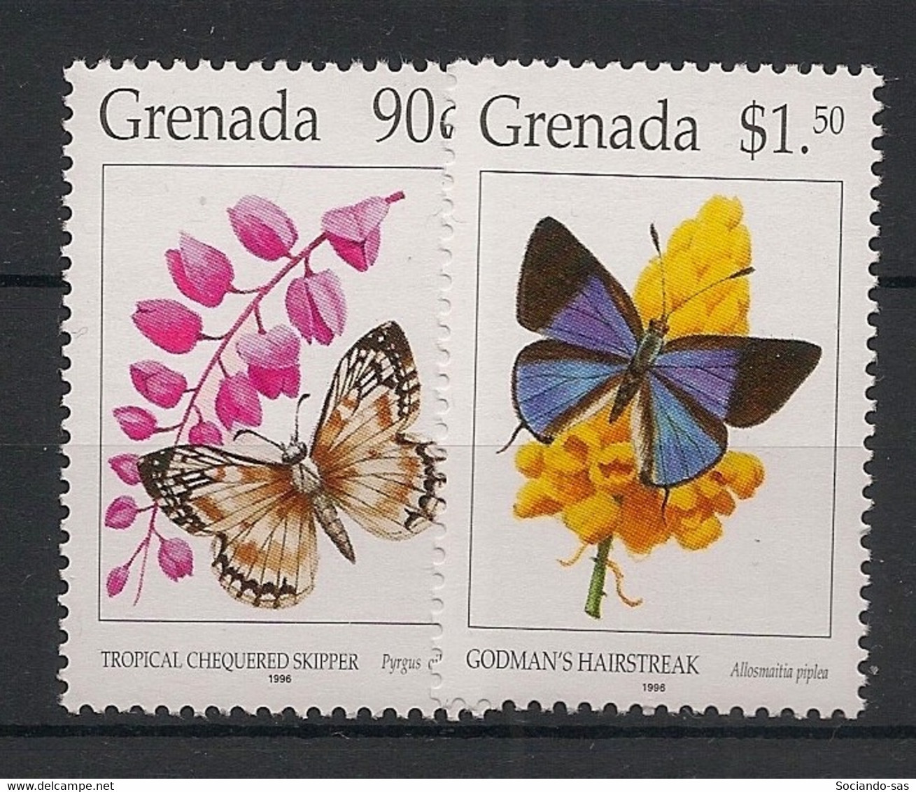 Grenada - 1996 - N°Yv. 2851 à 2852 - Papillon / Butterfly - Neuf Luxe ** / MNH / Postfrisch - Butterflies