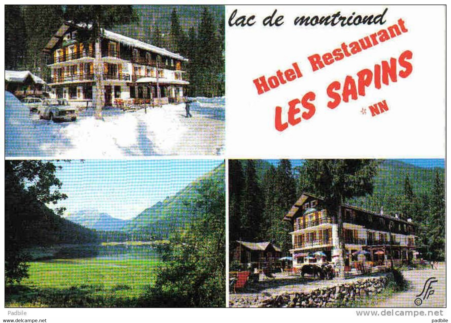 Carte Postale 74.  Morzine - Avoriaz  "Les Sapin"  Hotel Lac De Montriond Trés Beau Plan - Morzine