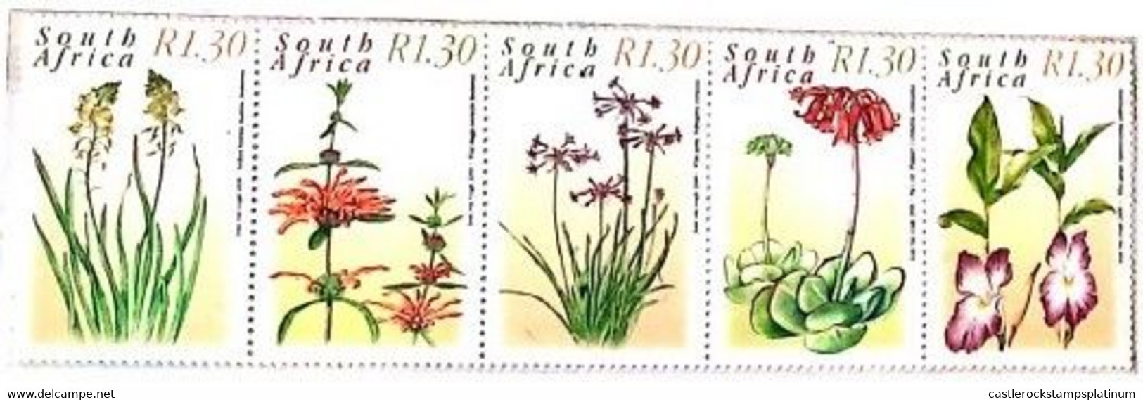 A) 2000, SOUTH AFRICA, MEDICINAL PLANTS SNAKE FLOWER, WILD MARIJUANA, WILD GARLIC, COTILEDON, WILD GINGER STRIP OF 5 - Covers & Documents