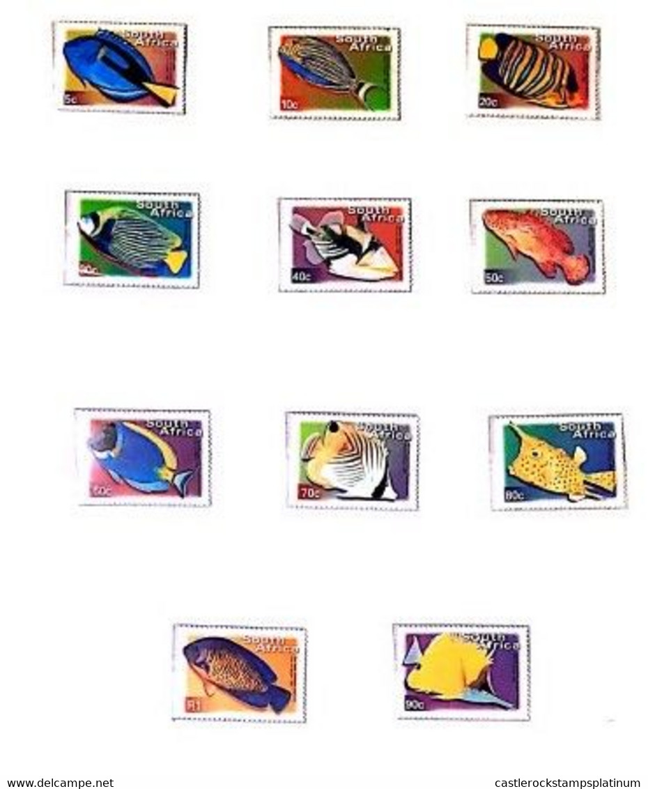 A) 2000, SOUTH AFRICA, COLLECTION FISH BLUE SURGEON FISH, ZEBRA NAVAJON, REAL ANGEL FISH, EMPEROR ANGEL FISH, PICASSO BA - Cartas & Documentos
