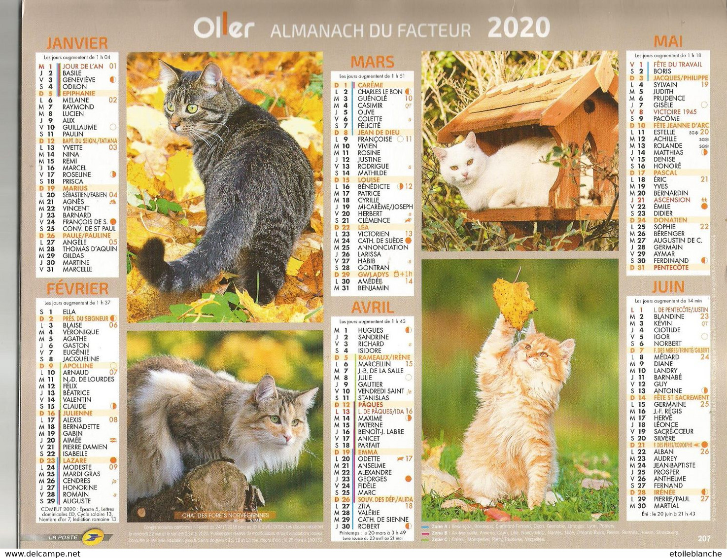 Calendrier Avec Photos De Chats (chat Des Forêts, Norvege, British Shorthair, Autres Races) - La Poste Oller 2020 - Grand Format : 2001-...