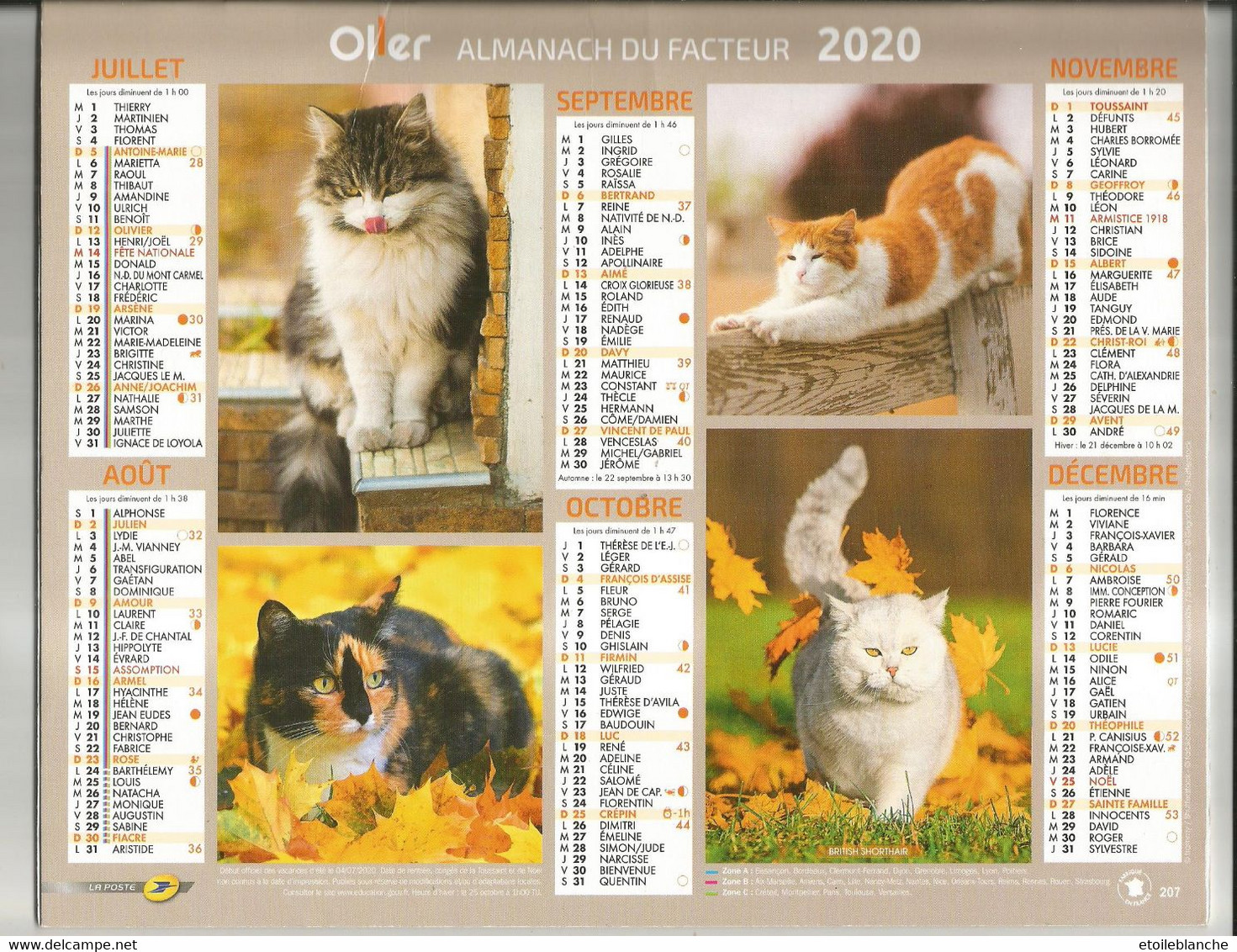 Calendrier Avec Photos De Chats (chat Des Forêts, Norvege, British Shorthair, Autres Races) - La Poste Oller 2020 - Big : 2001-...