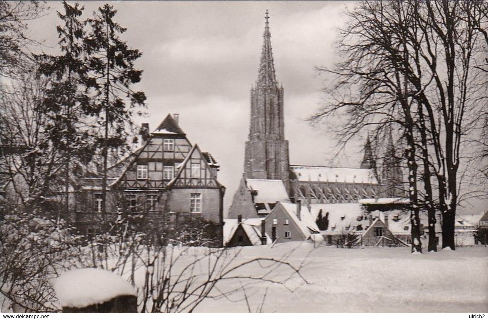 AK Ulm - Münster Im Winter - 1958 (56390) - Ulm