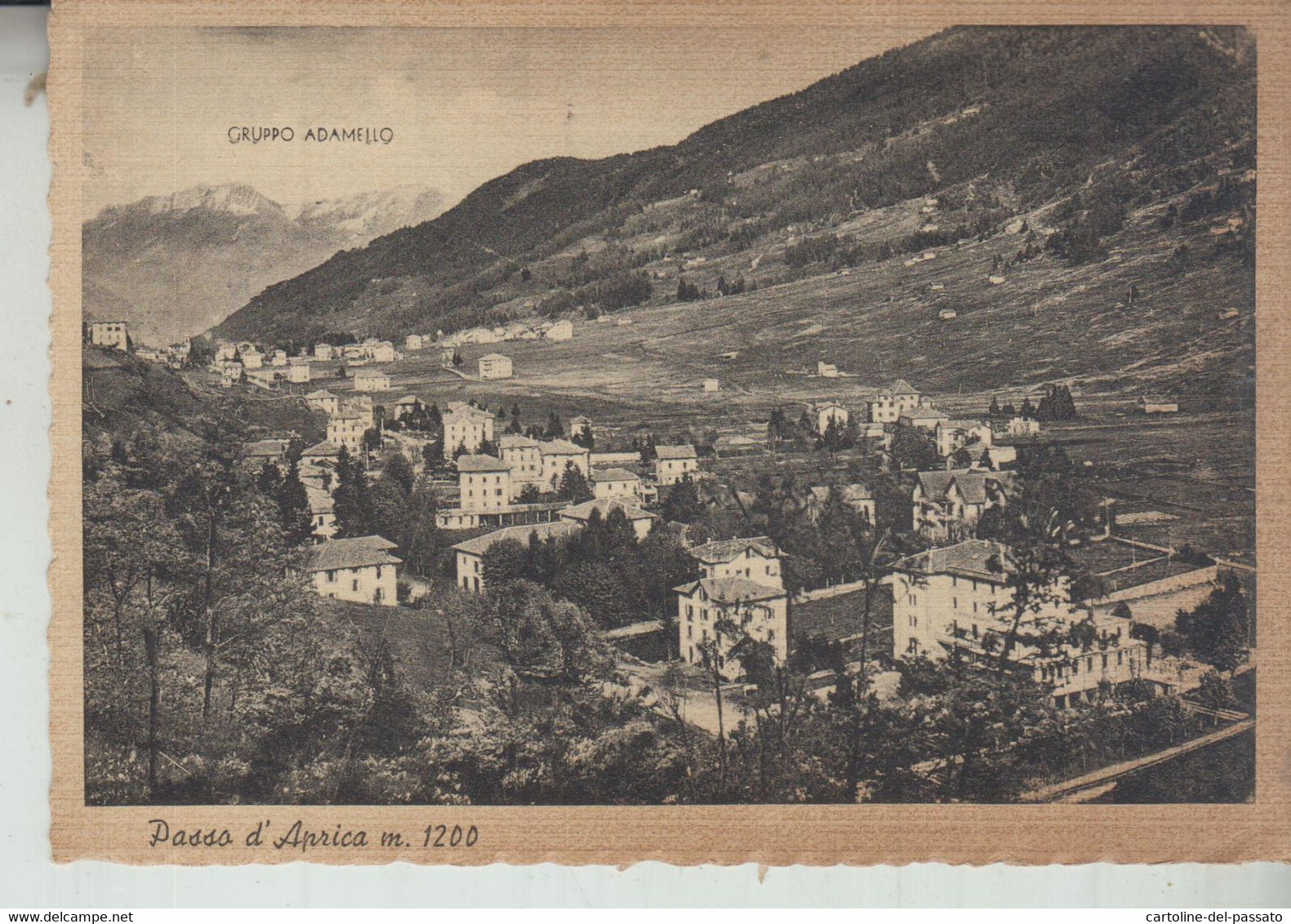 PASSO D'APRICA  SONDRIO  GRUPPO ADAMELLO  VG  1951 - Sondrio