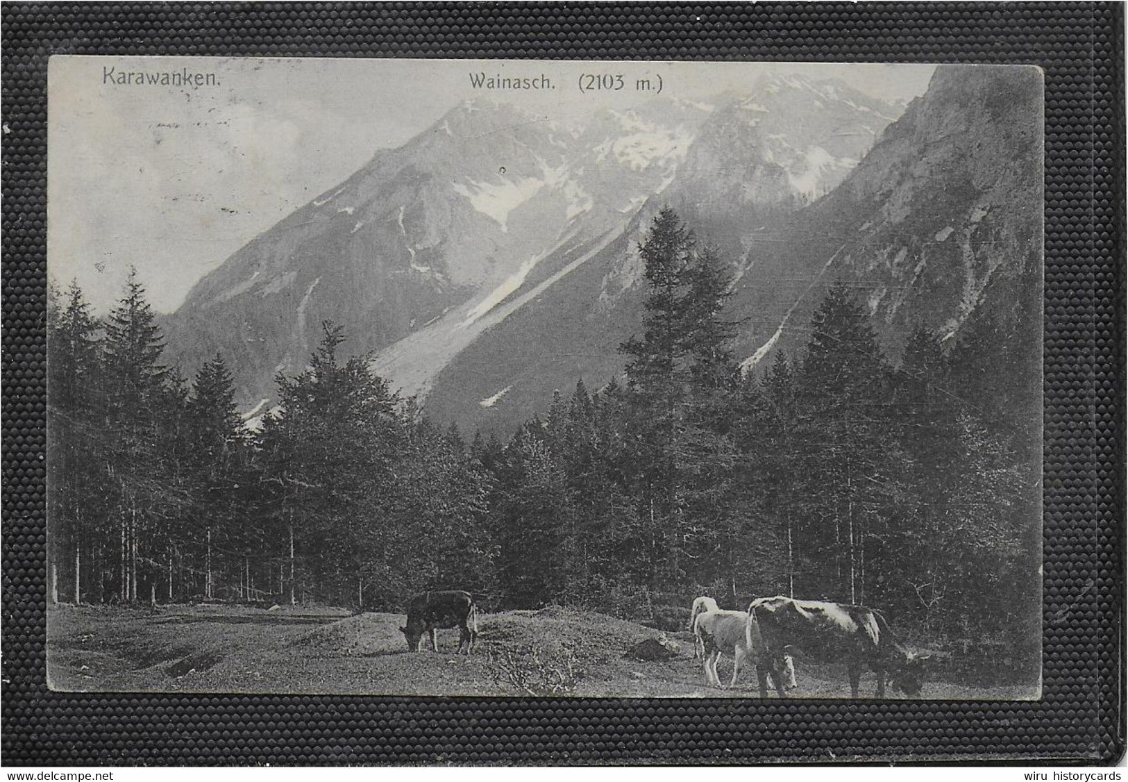 AK 0714  Karawanken - Wainasch / Verlag Hanel Um 1907 - Klagenfurt