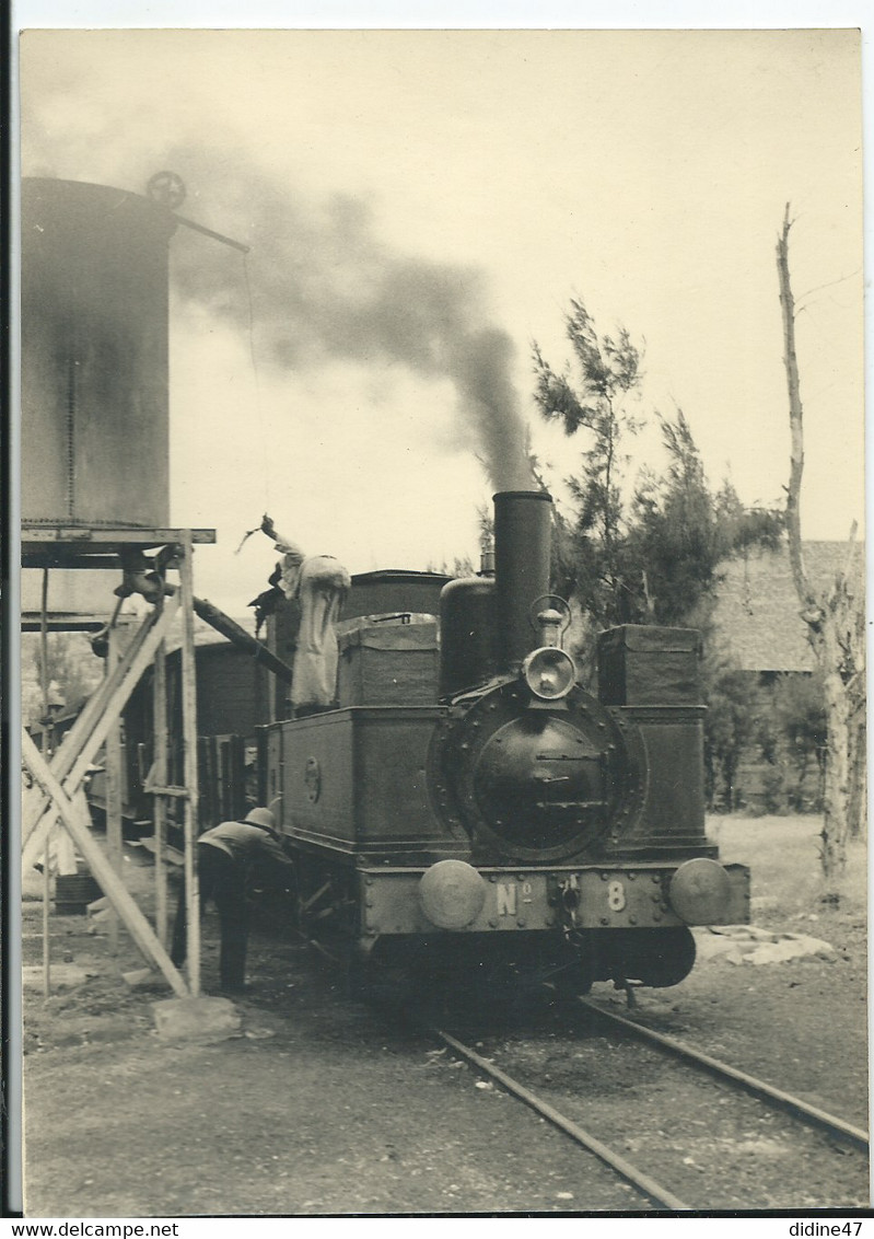 PHOTO - 16,5 X 11,9 - LOCOMOTIVE (AFFRIQUE?) - Trenes