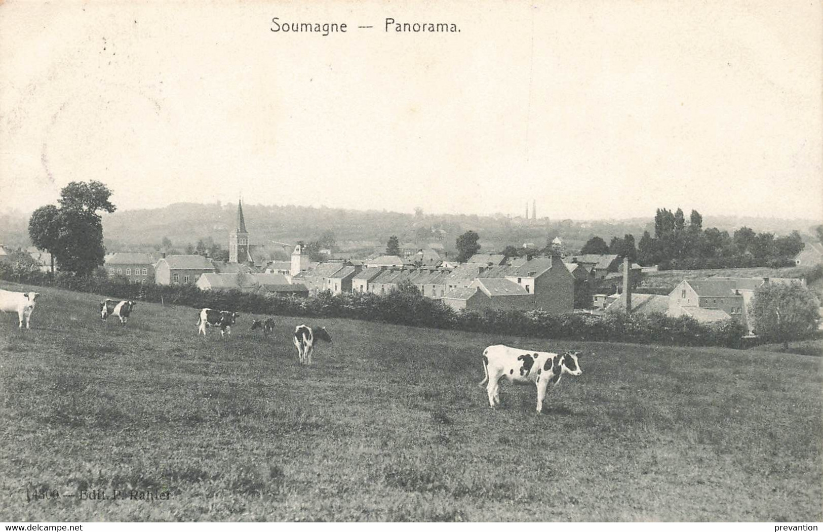 SOUMAGNE - Panorama (avec Les Vaches Dans Le Pré) - Carte Circulé En 1909 - Soumagne