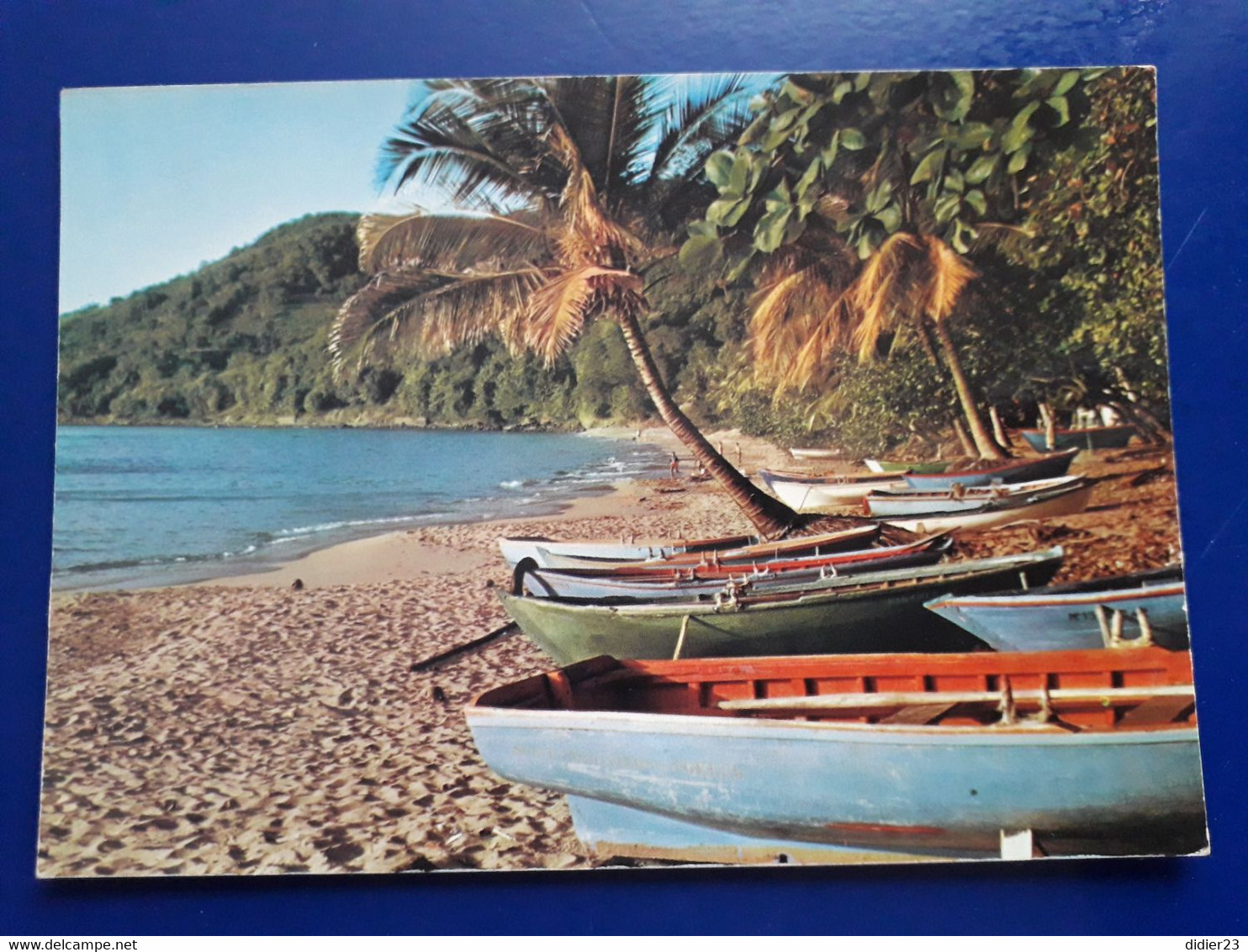 LES BATEAUX SAINTOIS SUR LA  PLAGE SAINTES - Saint Barthelemy