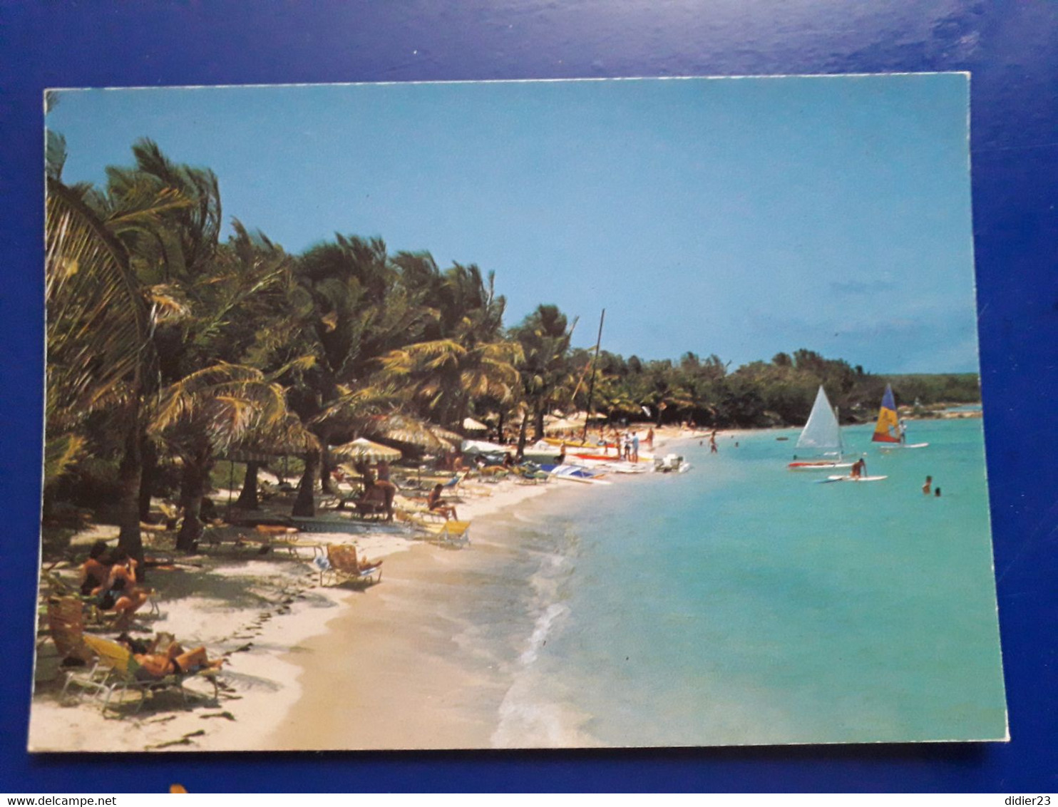 GUADELOUPE  SAINT FRANCOIS PLANCHE A VOILE  VOILIER - Saint Barthelemy