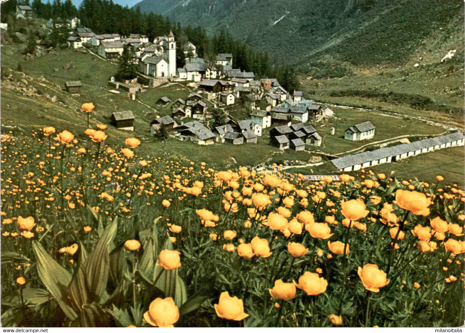 Bosco-Gurin - Das Walserdorf Im Tessin - Bosco/Gurin