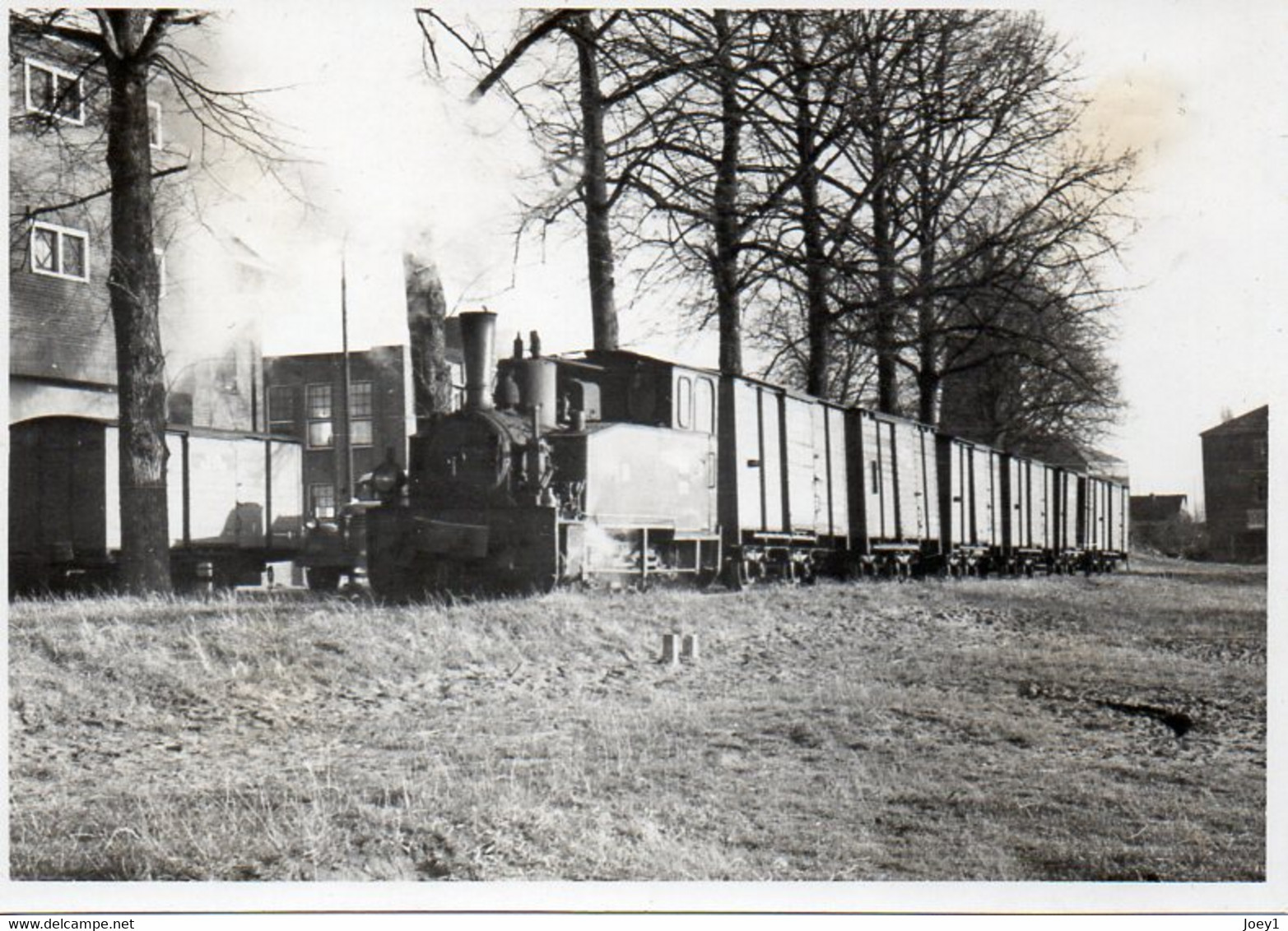 Photo  Loco Et Tramway En Hollande ,indications Au Dos,format 7/10. - Trains