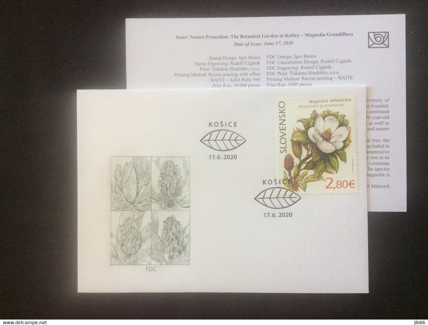 SK 2020 FDC Yvert BF 56 Magnolia Grandiflora Jardin Botanique De Kosice - FDC