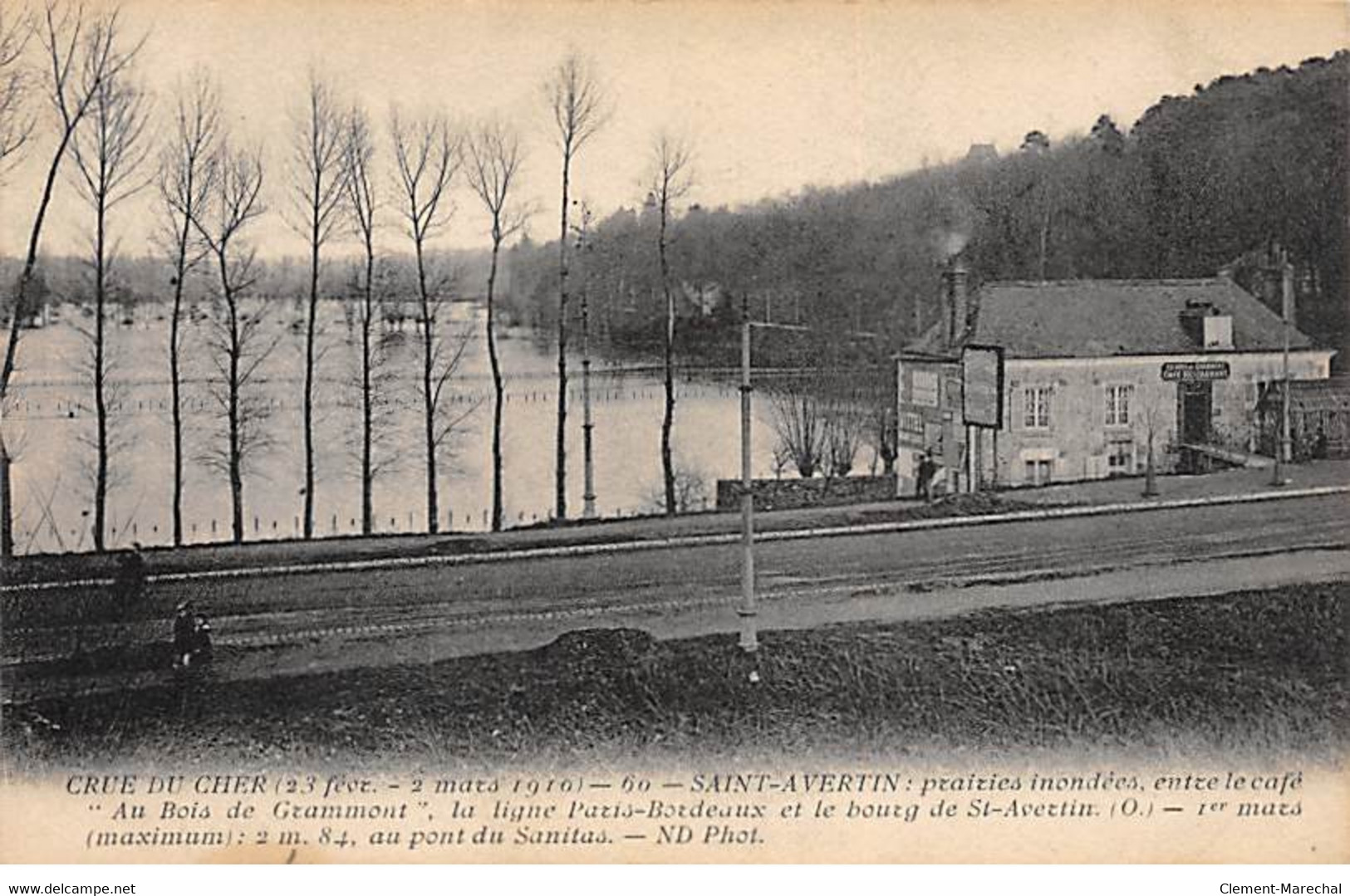 Crue Du Cher (1910) - SAINT AVERTIN - Prairies Inondées - Très Bon état - Saint-Avertin