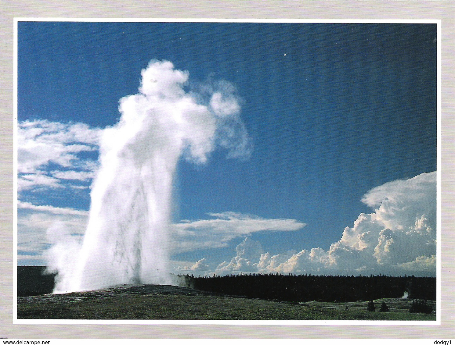 OLD FAITHFUL, YELLOWSTONE, UNITED STATES. USED POSTCARD Ac1 - Yellowstone