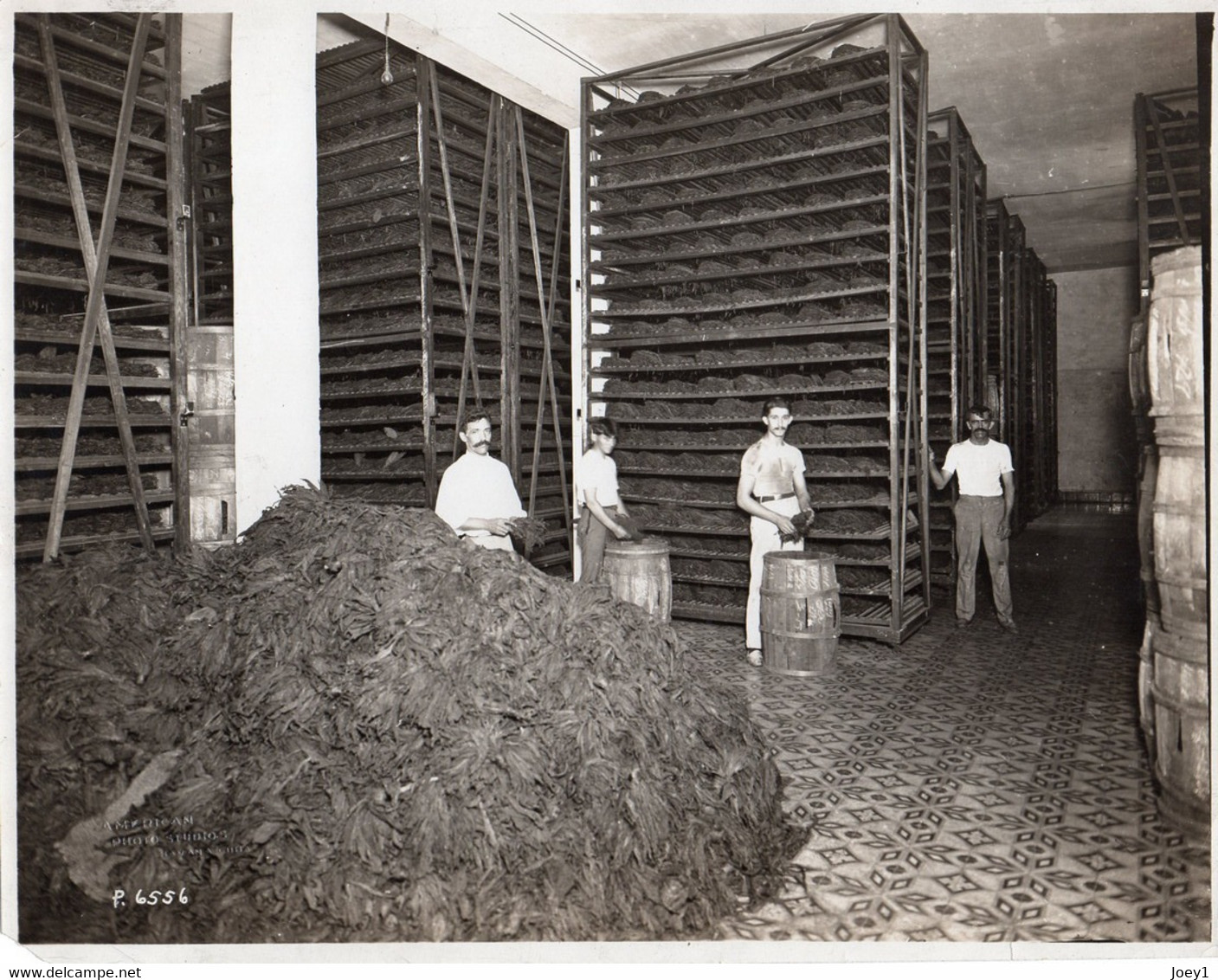 Photo Fabrique Des Cigares De La Marque Roméo Et Juliette En 1924,séchoir De Tabac Et Mise En Barils. Format 20/25 - Berufe