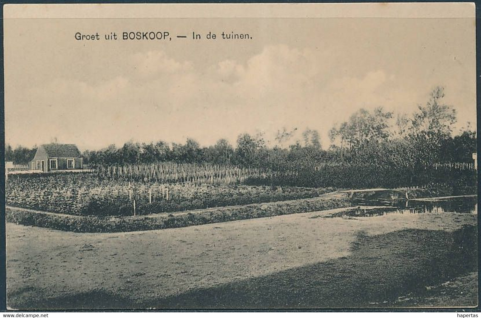 Groet Uit Boskoop, In De Tuinen / In The Garden, Horticulture - Boskoop