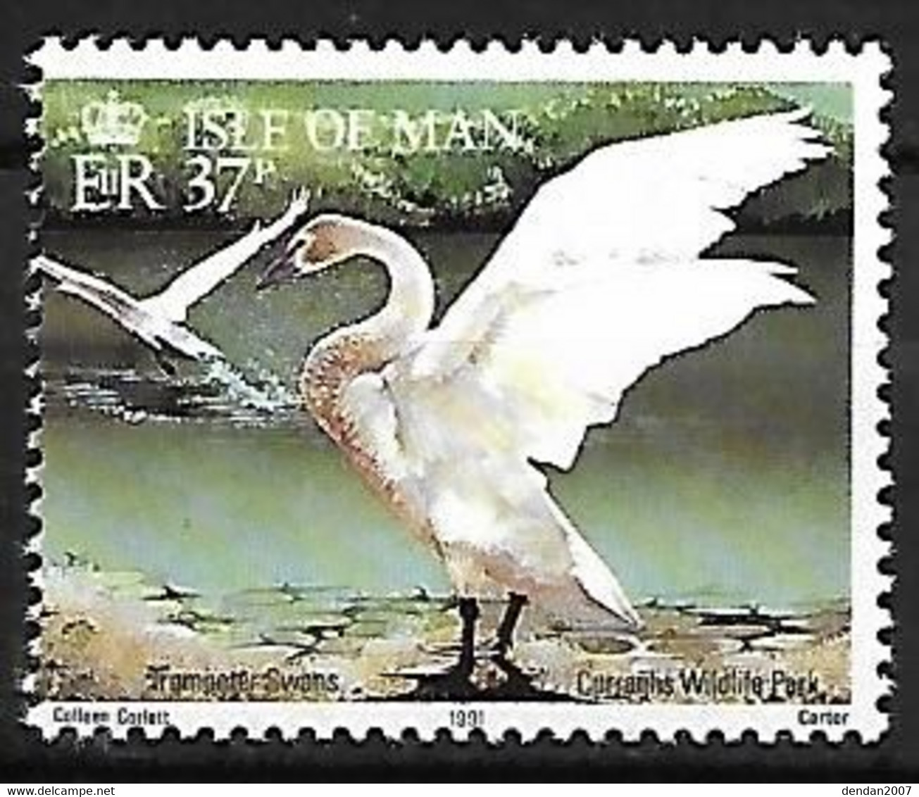 Isle Of Man - MNH ** 1991 :  Trumpeter Swan  -  Cygnus Buccinator - Swans