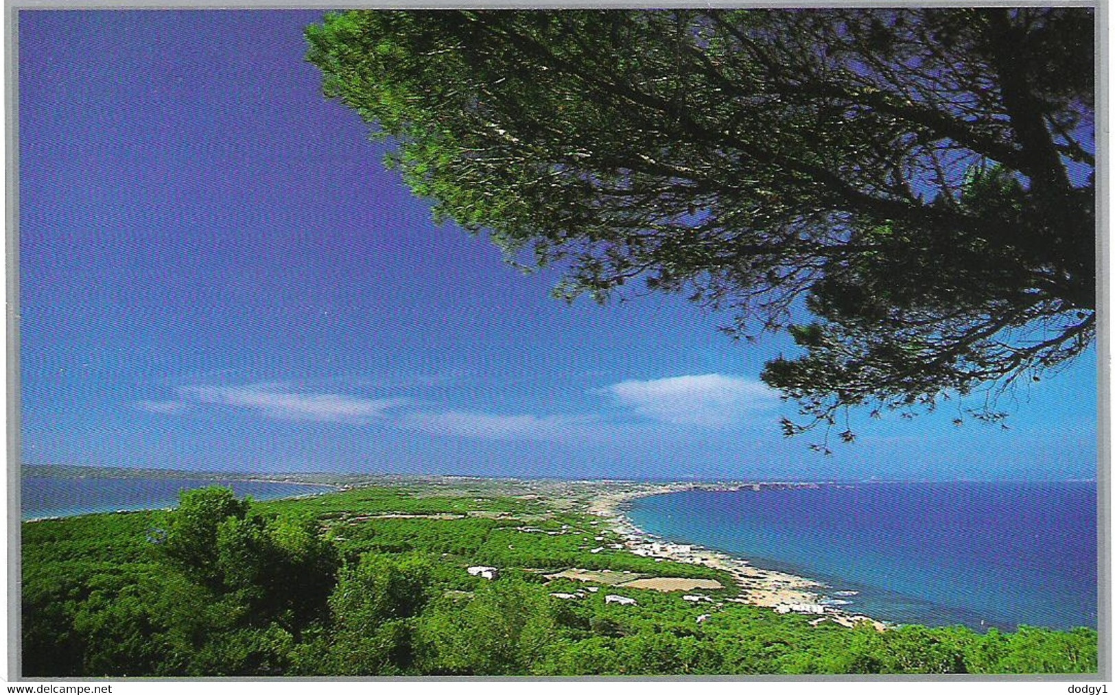 FORMENTERA,BALEARIC ISLANDS, SPAIN. USED POSTCARD Ae2 - Formentera