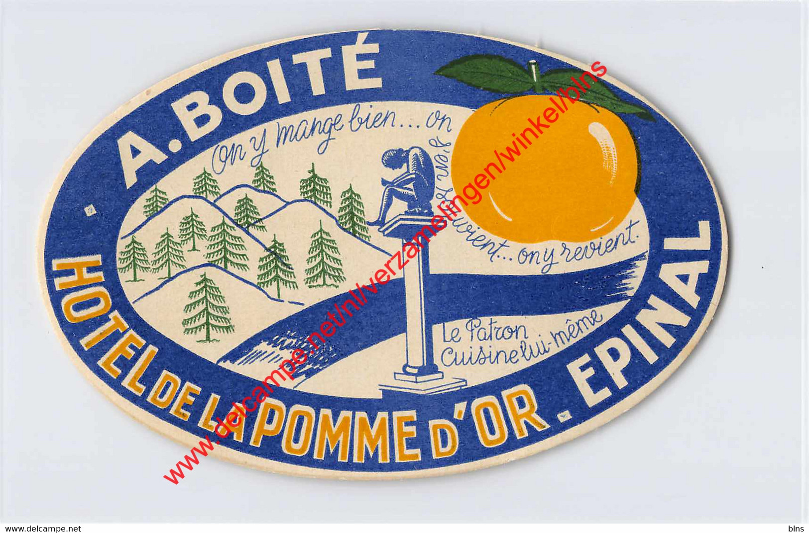 Epinal - Hôtel De La Pomme D'Or - A. Boité - Hotel Label - France - Etiquetas De Hotel