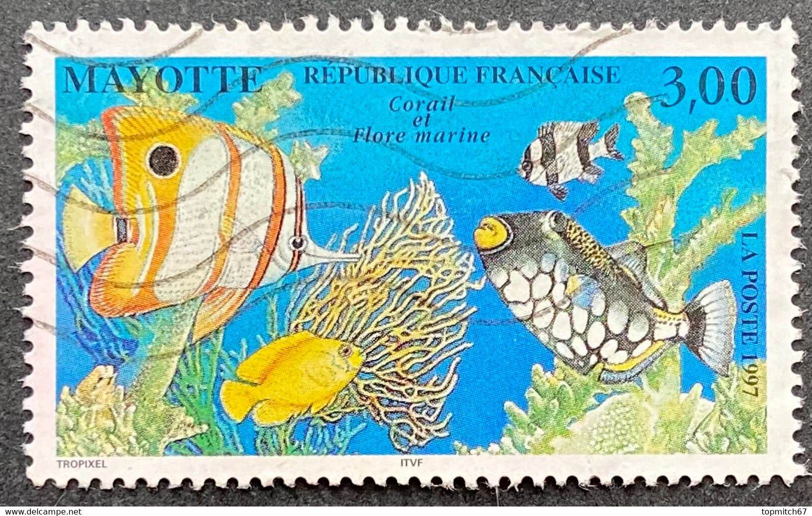 France YT MYT51 - Corail Et Flore Marine - 3 F Used Stamp - Mayotte 1997 - FRAMYT051U - Oblitérés