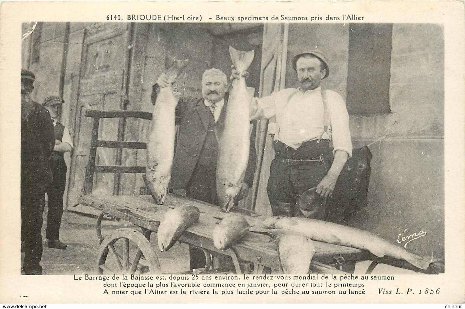 BRIOUDE BEAUX SPECIMENS DE SAUMONS PRIS DANS L'ALLIER BEAU PLAN - Brioude