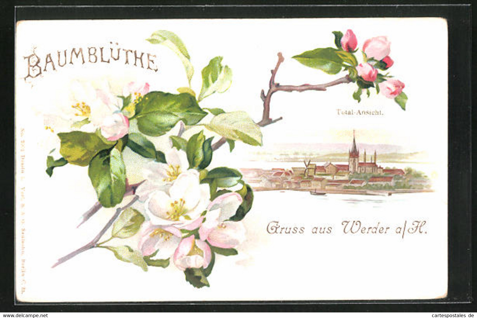 Lithographie Werder A. H., Totalansicht Mit Baumblüthe - Werder