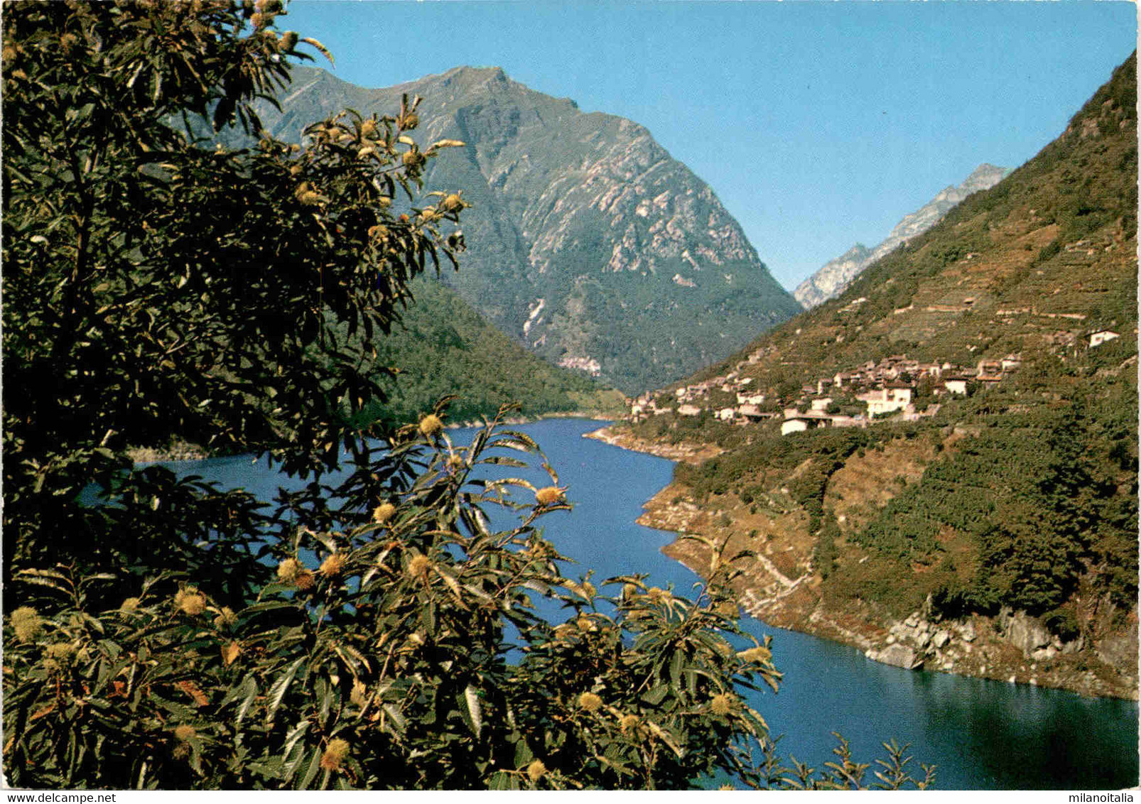 Vogorno - Valle Verzasca (4490) - Verzasca