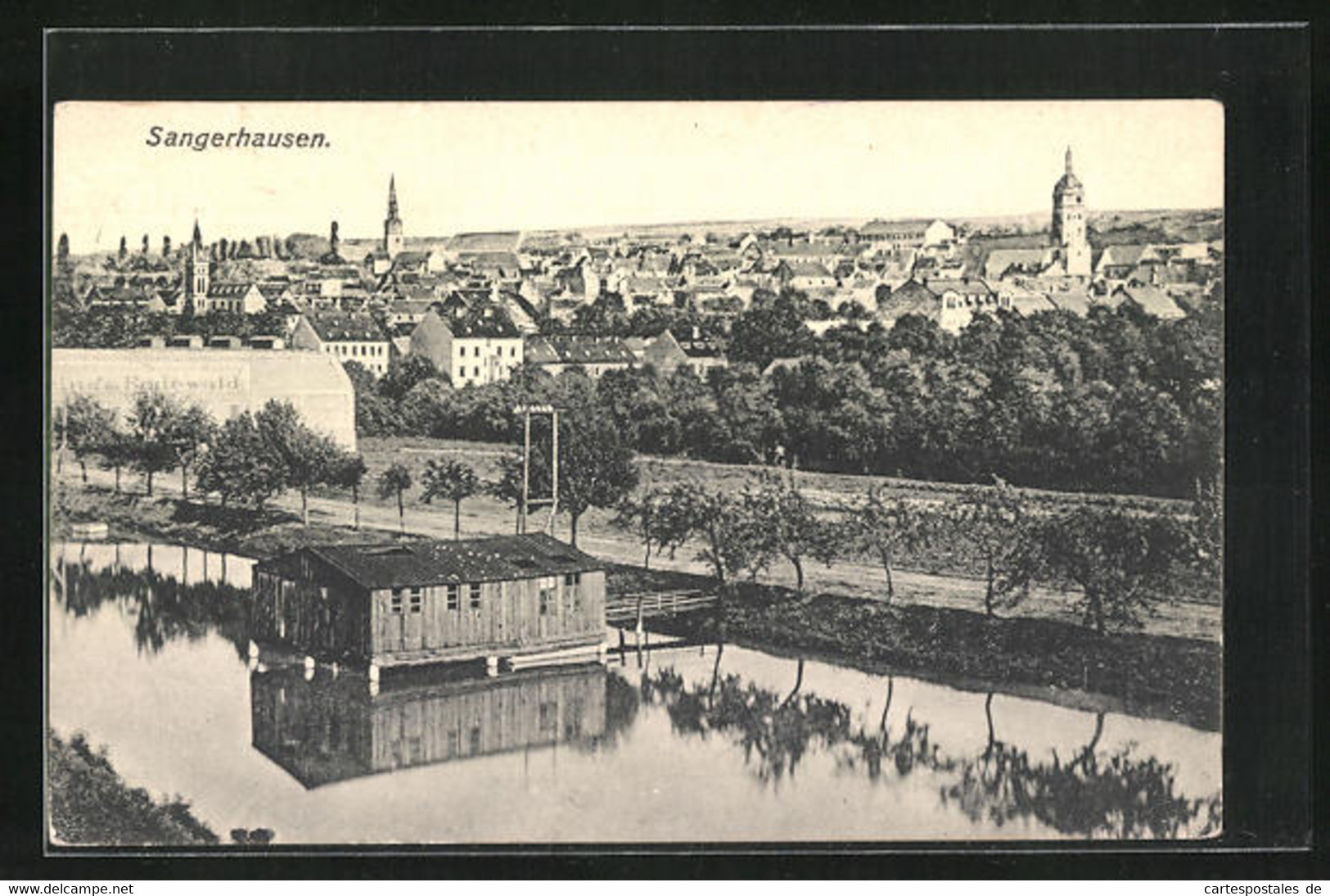 AK Sangerhausen, Blick Auf Die Stadt - Sangerhausen