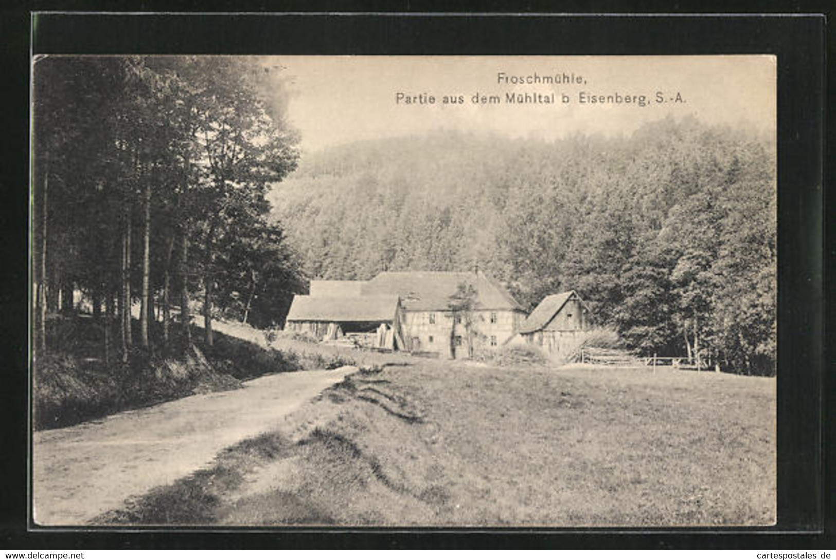 AK Eisenberg, Blick Auf Die Froschmühle Im Sonnenschein - Eisenberg