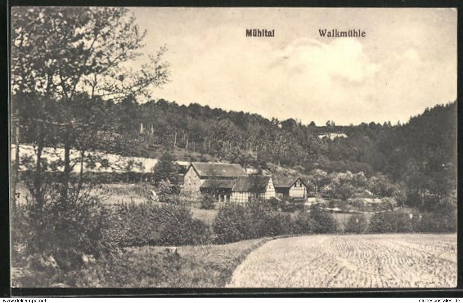 AK Eisenberg, Blick Auf Die Walkmühle - Eisenberg