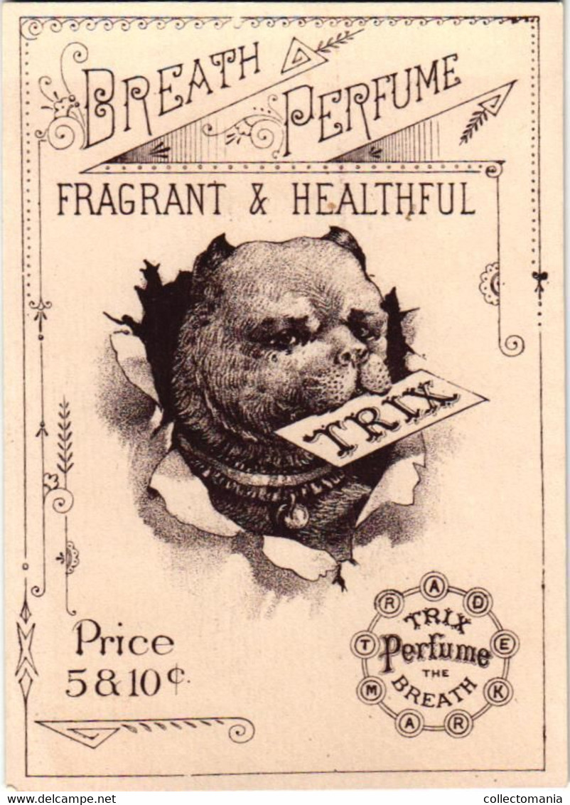 3 Cards Avory Polish For The Teeth Mrs. Winslow's Soothing Syrup  Calendar 1887  Trix Breath Perfume Tand Hygiëne - Non Classificati