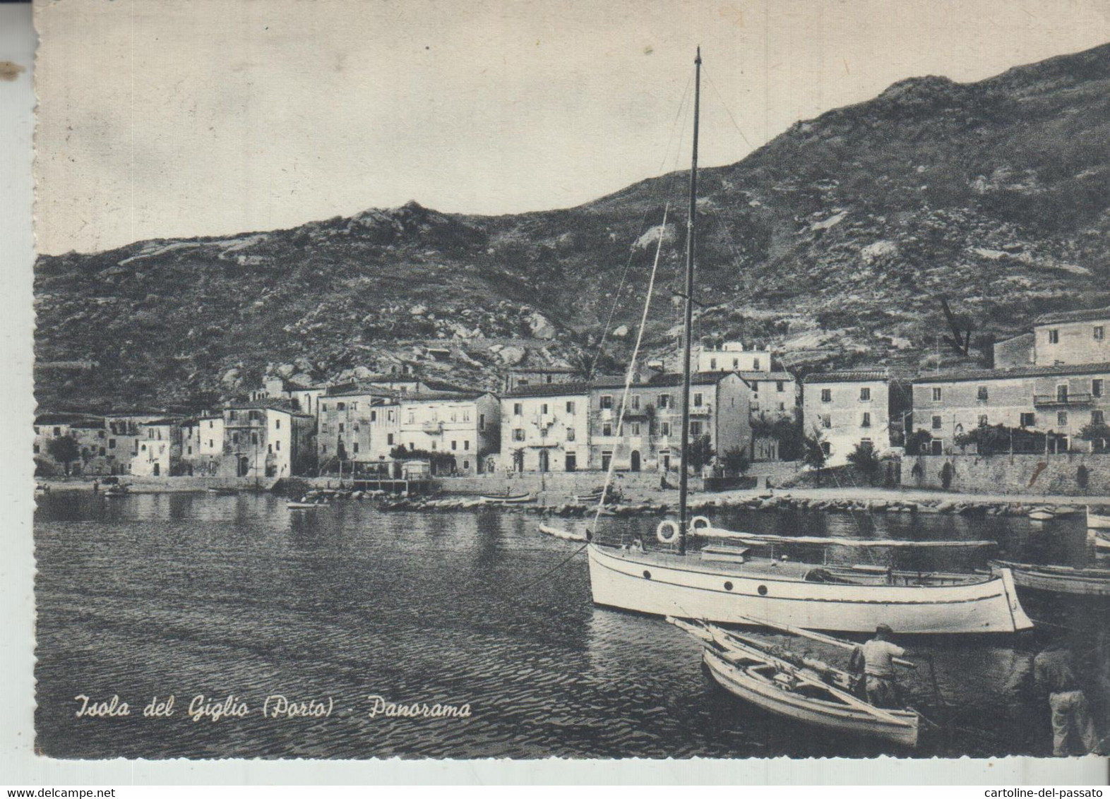 ISOLA DEL GIGLIO  GROSSETO  PORTO PANORAMA  VG  1950 - Grosseto