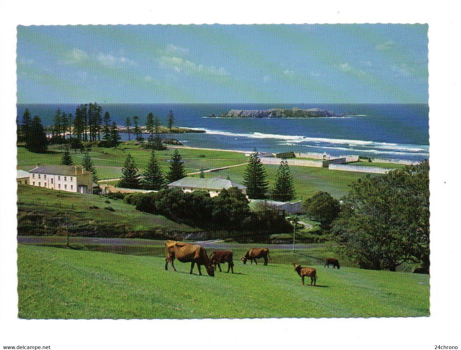 Australie: Norfolk Island, South Pacific, View Of Kingston, Vaches (21-78) - Autres & Non Classés