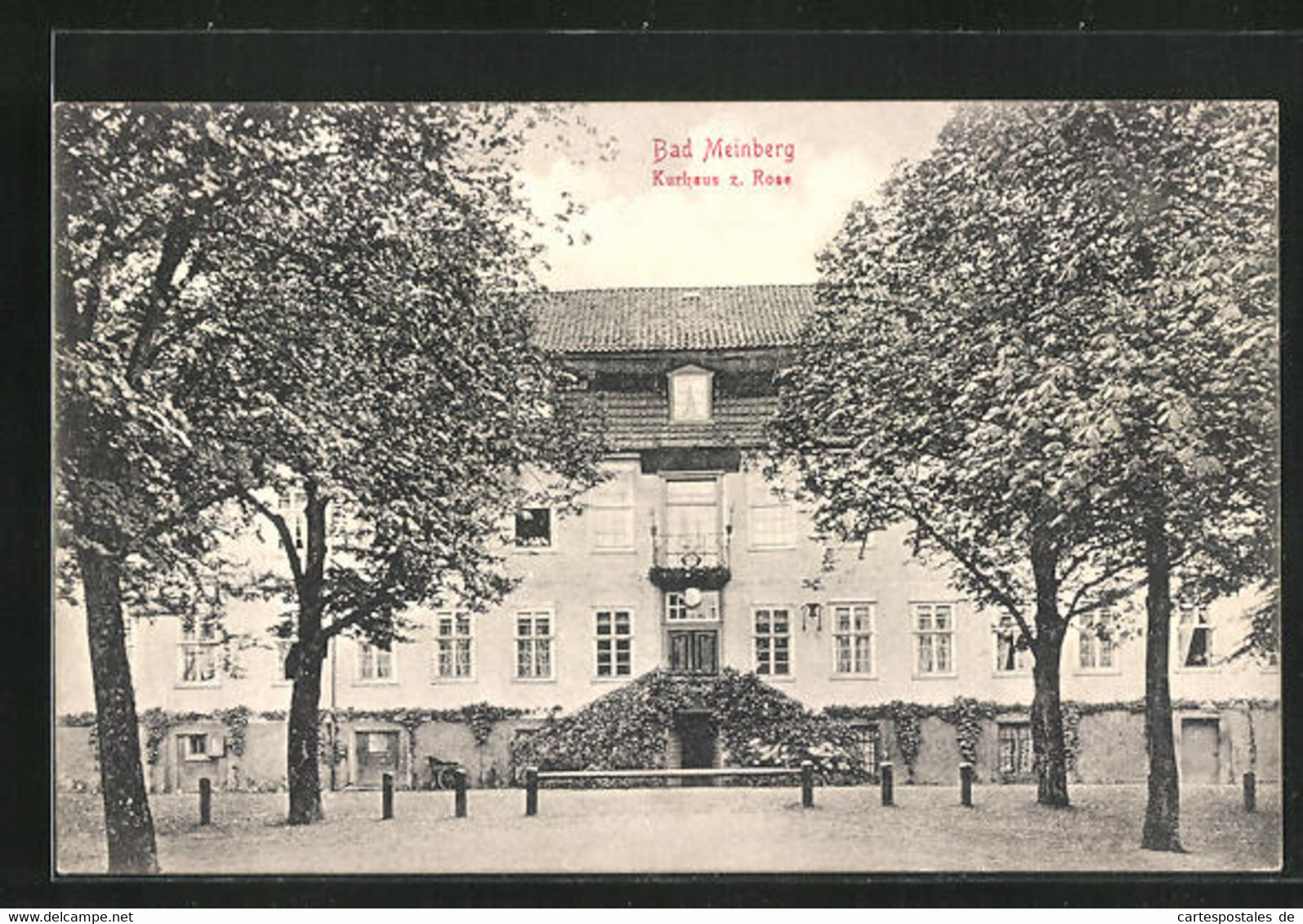 AK Bad Meinberg, Kurhaus Zur Rose - Bad Meinberg