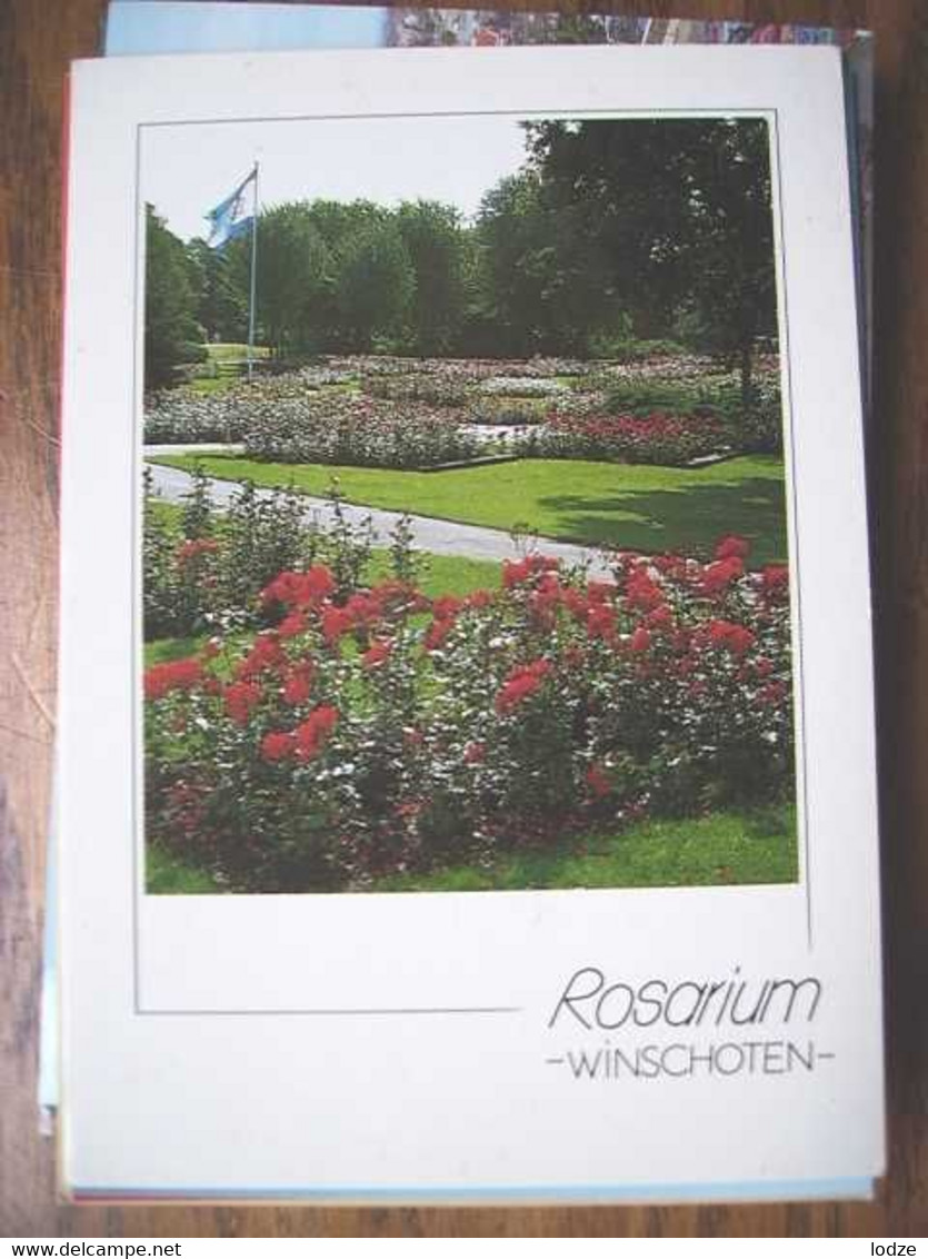 Nederland Holland Pays Bas Winschoten Met Rosarium Fraai - Winschoten