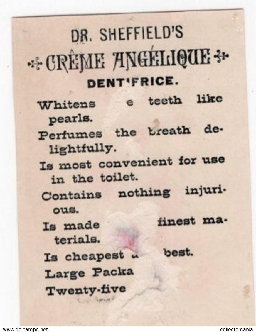 5 Dentifrice Crême Angelique Dr. Sheffield's  Alma Poudre Dentifrice Kalodont Bénédictins Calendrier 1896 tooth past